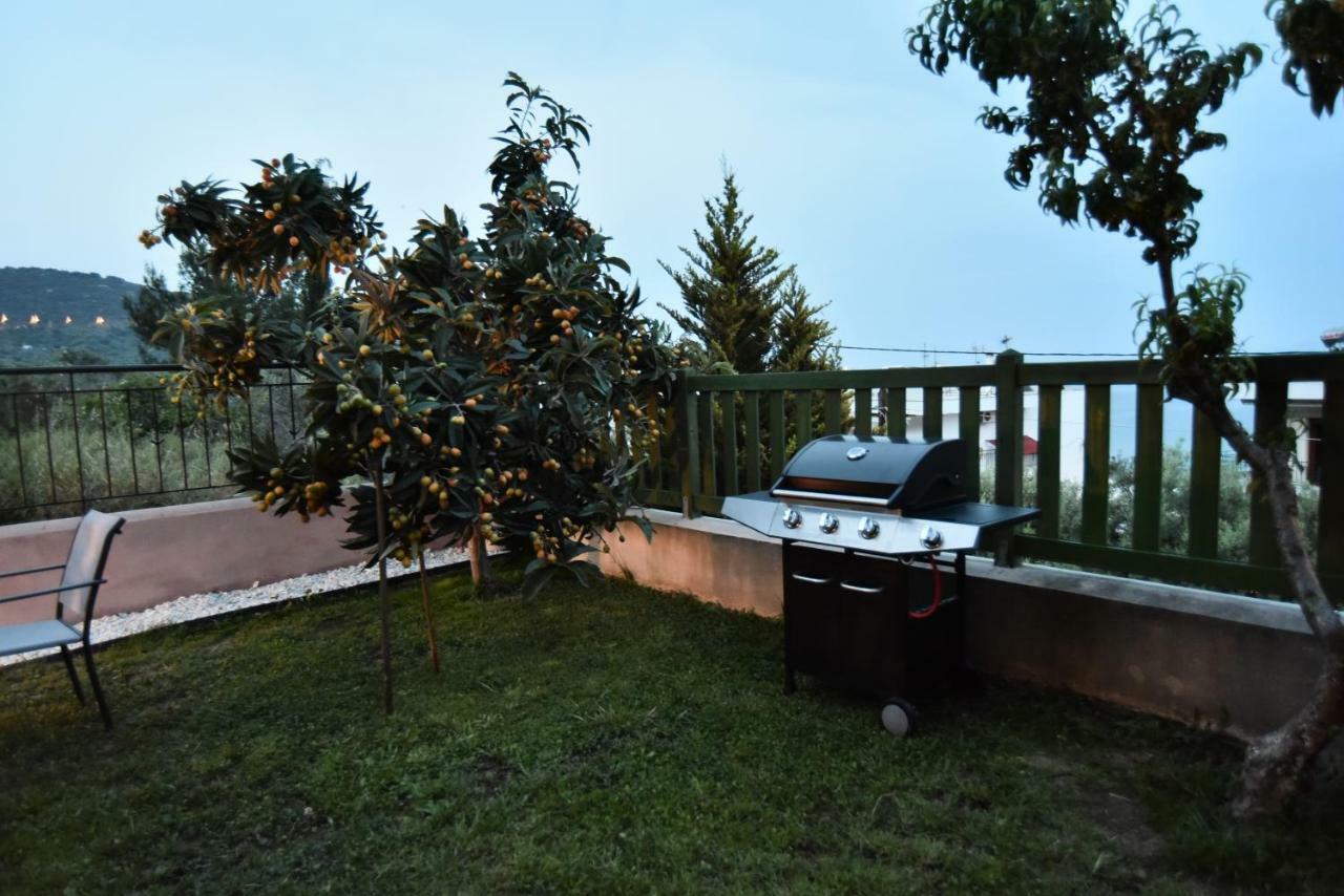 Searockhouse Villa PalaiónTsiflíkion Kültér fotó