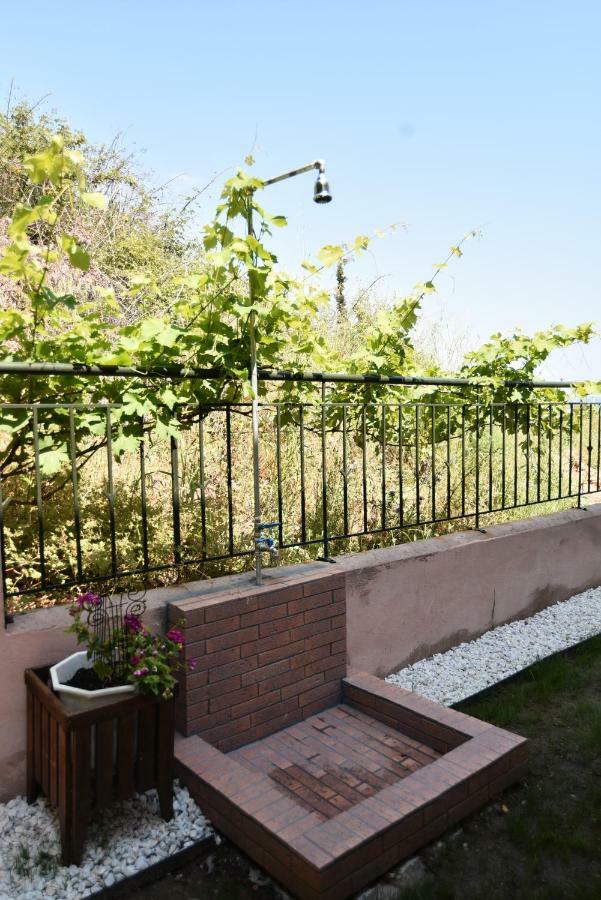 Searockhouse Villa PalaiónTsiflíkion Kültér fotó